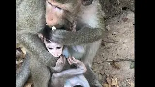 Mom Hugging Baby Firmly, Baby Hungry#Shorts