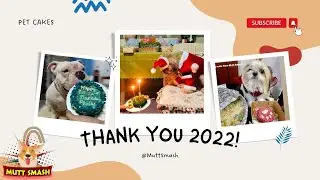 Healthy Dog Cake | Happy New Year | Mutt Smash