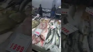 Fish market adventure for a windy day in Melbourne! #fish #market #lifestyle #budget #home
