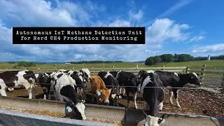 Cost-Effective Sensing Network For Forage Systems Management Through CH4 Detection
