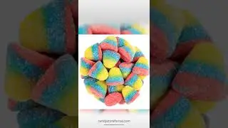 Vidal Gummi Tropical Drops 2.2lb
