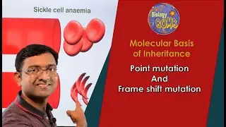 Point mutation and frameshift mutation I NEET I Dr Kunal Tatte