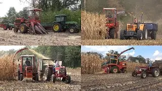 Mais hakselen met Fox Super D, Taarup 101 en Fox 6650 op de hakseldag van Hakselploeg 7 (2022)