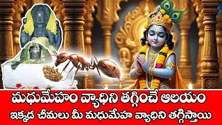 మధుమేహం వ్యాధిని తగ్గించే ఆలయం | Venni Karumbeswarar Temple | Ta,ilnadu | diabetes | WMM Bhakthi