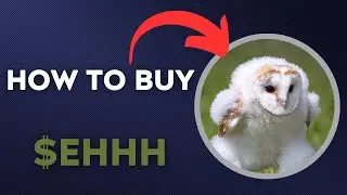 How To BUY $Ehhh &ndash; Running Barn Owl TOKEN CRYPTO COIN IN 60 SECONDS