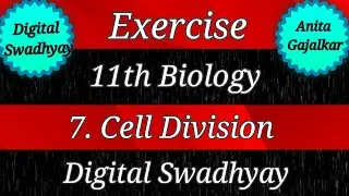 exercise cell division class 11  । cell division exercise 11th class । question answer cell division
