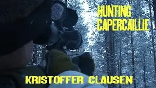 Hunting capercaillie with Finnish Spitz by Kristoffer Clausen. Jakt med spets.