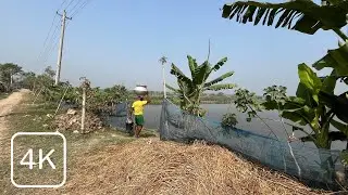 Peaceful Village Walking Tour in Bangladesh | Countryside Road Walk 4K | Village Vista