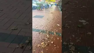 Watton street wind blow #shorts #wattonstreet #windblume #street #australia