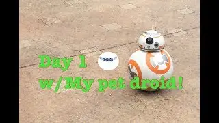 Star Wars - BB-8 - Hero Droid Robot. Test Run