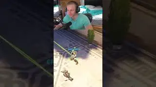 ГМ Лусио против Плата Бапа! Кто победит? Overwatch 2