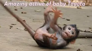 Amazing active of Cute baby, Toyota do adorable action during learn walking
