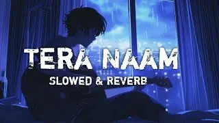 Tera Naam | Slowed & Reverb| Lofi | Trending | Music | Feel The Song | #viral #dhurandhar #lofi 