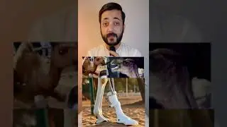 Aunt 🐪 k leay India say masnoi tang
