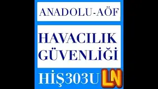 HİŞ303U Aviation Security