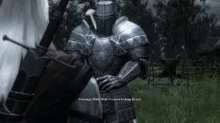 Some Small Details In The Witcher 1 (Chapter 1)