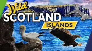 3 WILD ISLANDS Of Scotland YOU MUST VISIT