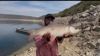 #incredible rahu hook in fidder !enjoy the video with drag sound !back water Nagarjuna sagar#carp 