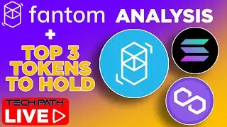 Fantom FTM Analysis & Top 3 Tokens To HOLD This Year | FTM, MATIC, SOL