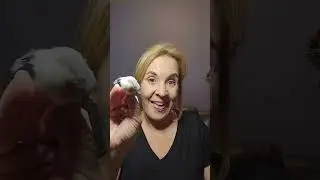 Gently remove eye makeup in seconds