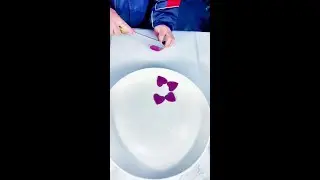 # Content Inspires Search# Plate Skill# Fruit and Vegetable Modeling# Easy to Learn# Simple Plate D