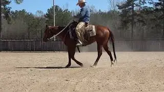 ES20 Colt, начиная с Луны, день 4