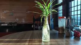 Highlight 14:37 &ndash; 19:36 from KABI ENTERTAINMENT vlog  is live
