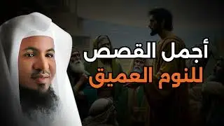 أجمل الحكايات التي تلامس القلب مع الشيخ محمد الشنقيطي