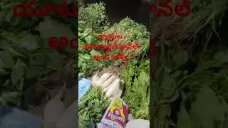 న్యూ mig మార్కెట్ సోమవారం రోజు