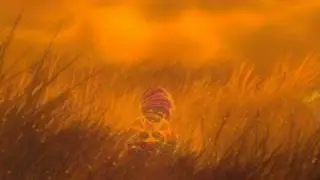 Cortos Disney - Uno por Uno