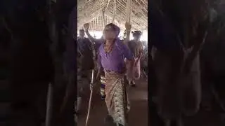 UZAGIGHIR Dance among Tiv People of Central Nigeria