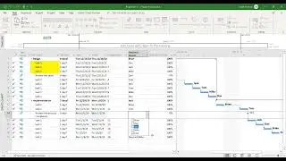 Add Milestones in Microsoft Project