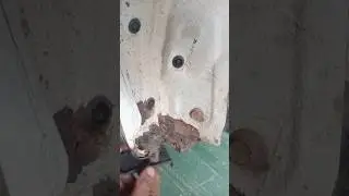 Protect your cultus car from rusting #cultus #carcare #suzukicultus #diy #shorts #fyp #carrepaircity