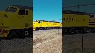 Union Pacific Lookalike Bulldog in Australia!? #shorts