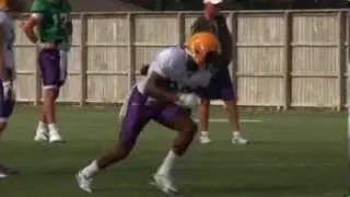 LSU's Travin Dural end zone catch from Wednesday