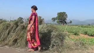 Harsha Trust