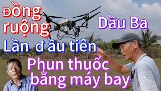 Đồng ruộng dầu 3 An Phước lần đầu tiên phun thuốc rải phân bằng máy bay.