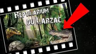Visite reptilarium du Larzac, Varan, Anaconda, Alligator...(Animaux Exotiques)-Venom.X