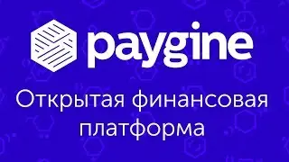 Paygine - финансовая платформа, предоставляющая сервисы по принципу White Label