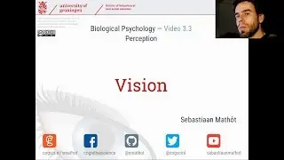 Vision | Biological Psychology 3.3