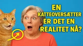 En katteoversetter &ndash; er det en realitet n&aring;? Forskere har avsl&oslash;rt hva kattene egentlig sier.