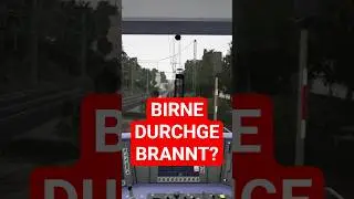 KAPUTTES SIGNAL &uuml;berfahren in Train Sim World 6 #funny #shorts #railway