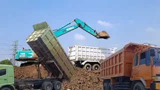 Truk Excavator Videos, Kobelco Excavator Loading Soil Into Tronton Truck, Soil Moving Truck
