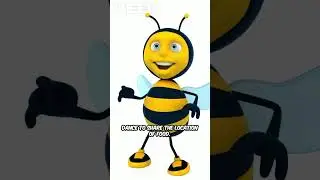 5 Fun Facts About Bees You Probably Didn&rsquo;t Know!