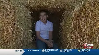 Wednesday’s Child - Brayden