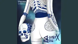 Porcelain Cyborgs