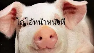มหามุนี ไม่มีใครใหญ่เกินกรรม  กำลังถ่ายทอดสด! ตือเพ้ออะไร? หาเรื่องให้ป้าแต๋นอีกแล้ว🤣🤣🤣