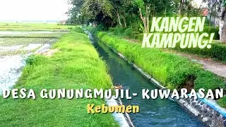 TULUS ! Cinta Para Perantau Pada Desa Gunungmujil Kuwarasan Kebumen yang Bikin Kangen