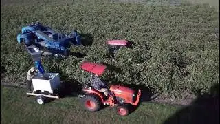 Harvest 2025