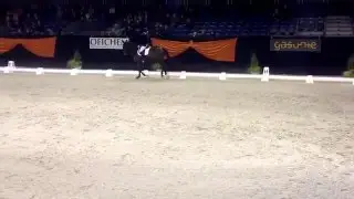 Ilse Hummel met Eliwando v. Wilawander kür op muziek klasse M in Zuidbroek 2015 (DCIG)